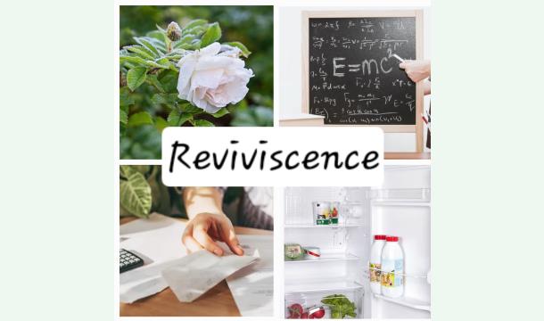 Cover Urgent "Reviviscence" Entraide Solidaire pour des personnes en difficulté financière