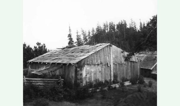 Cover Please help me house 