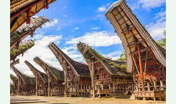 Cover Diana & Cédric's Honeymoon Trip to Sulawesi 