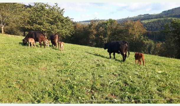 Cover schwere Erkrankung eines Landwirts
