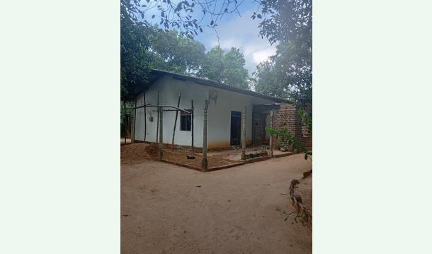 Cover Help us finish the rest of the housework 