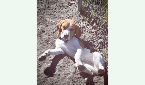 Cover Sauvetage de Loïc et Athéna