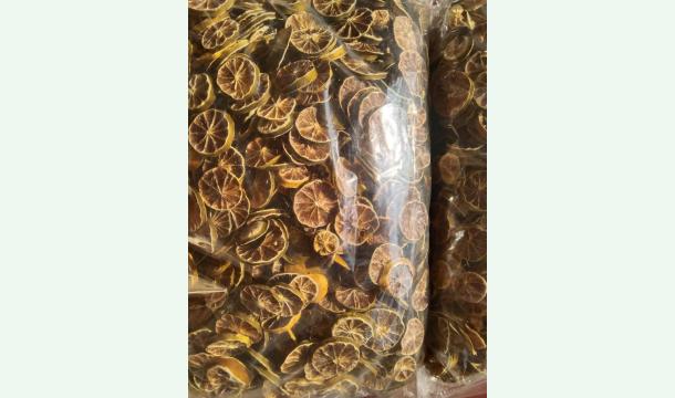 Cover The war interrupted the newly started job of guiding tourists after losing their belongings in the c...