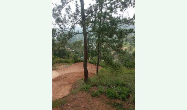 Cover business development 