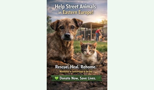 Cover Help Street Animals in Eastern Europe!