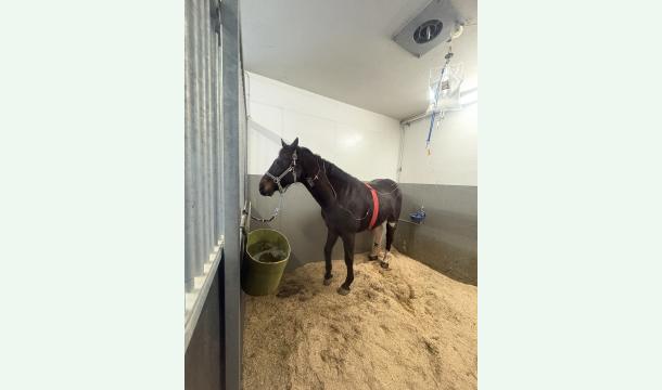 Cover Solidarité pour Touch Me ♥️