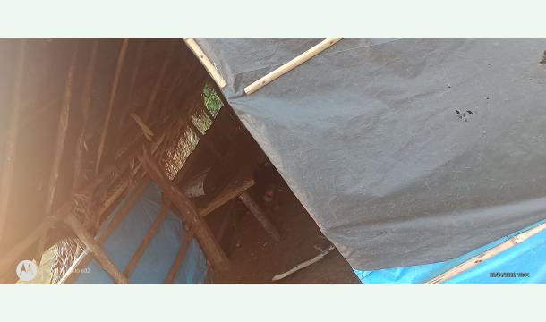 Cover There is no way to live.