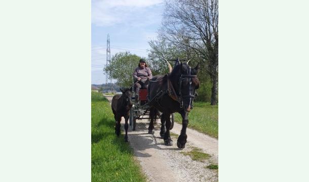 Cover Damit Yuuki bleiben darf – für meine Schwester und ihre Familie