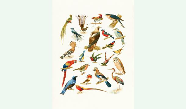 Cover Nouveaux horizons