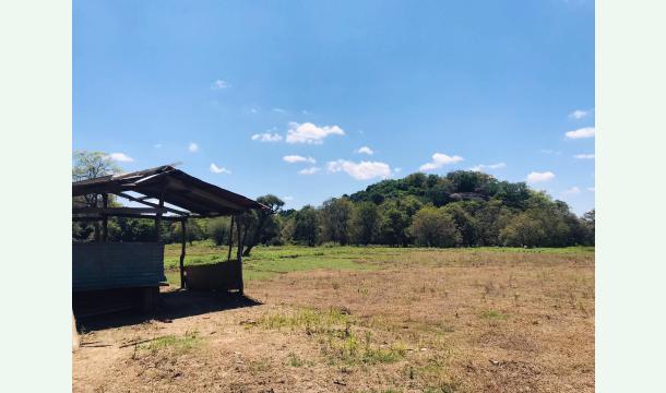 Cover help me to build a new home 