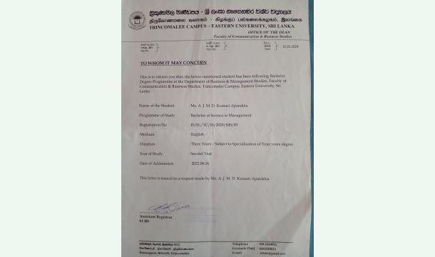 Cover A Dream on Hold, Not Broken — Help Me Finish What I Started