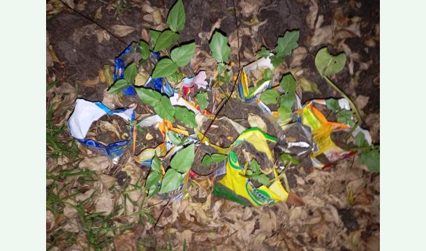 Cover Help Protect My First Vegetable Garden from Critters!