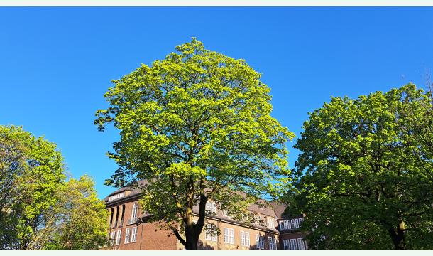 Cover Mehr Leben, Freiheit - Existenzminimum
