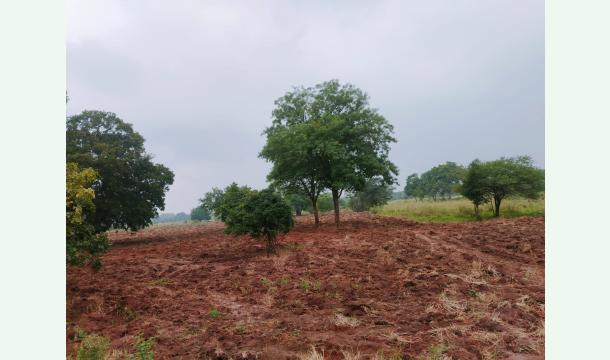 Cover Please Help me iam poorer men