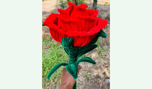 Cover I am self-employed. I do handicrafts. Please help me improve it.