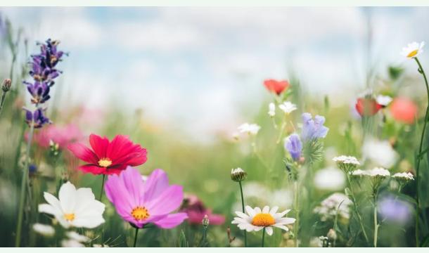 Cover Karine's farewell