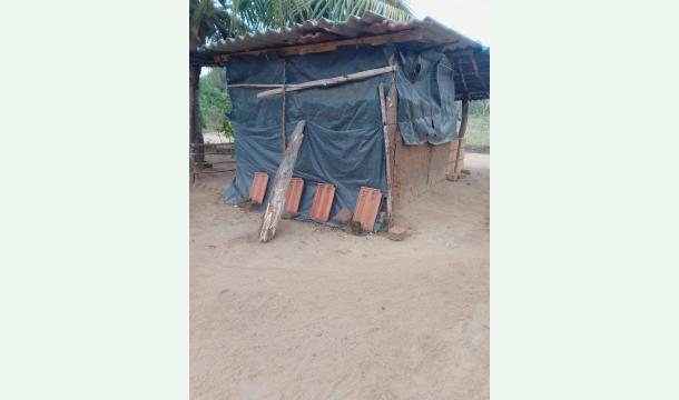 Cover Please help me build my house 