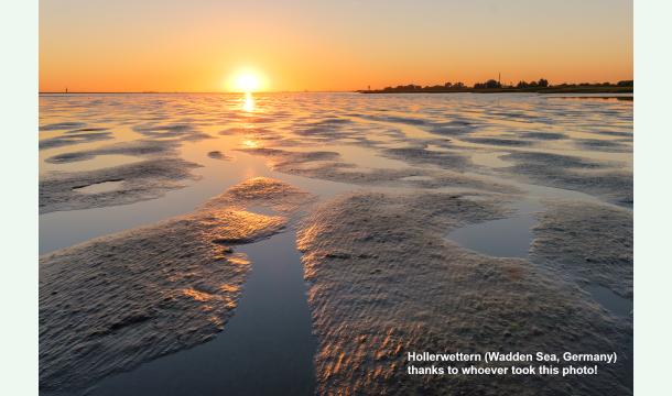 Cover Ruben's farewell gift