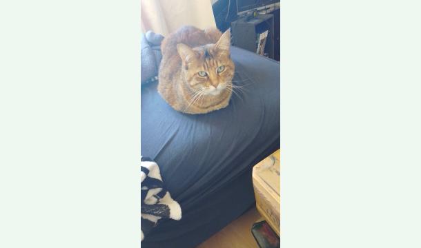 Cover Ein Lichtblick für Olga: Hilfe für den Weg zurück ins Leben ✨