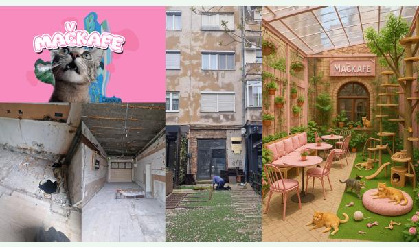 Cover Help us renovate and open first cat caffe in Bosnia and Herzegovina: Mačkafe