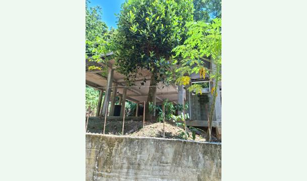 Cover I would be very grateful if you could help me build a house for my family.