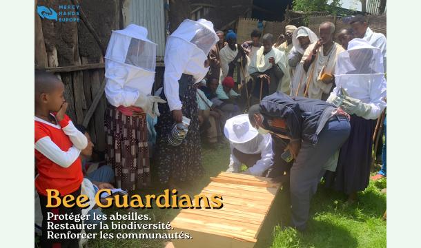 Cover Bee Guardians :  Protéger les abeilles. Restaurer la biodiversité. Renforcer les communautés. 