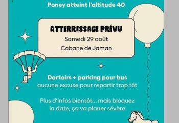 Cadeau 40 ans Poney