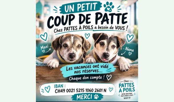 Cover SOLIDARITÉ POUR CARINE DE CHEZ PATTES À POIL