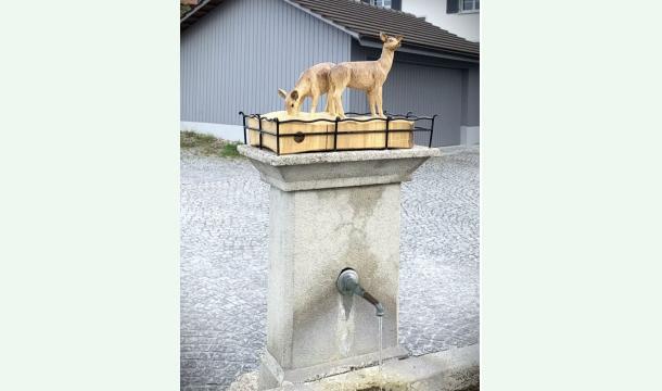 Cover Robins 30. Geburtstag