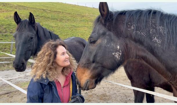 Cover Patricia est décédée en laissant 3 chevaux et 5 poneys, nous avons besoin de votre aide