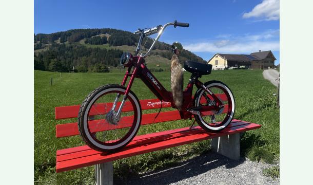 Cover Mein Traum einer Puch maxi n