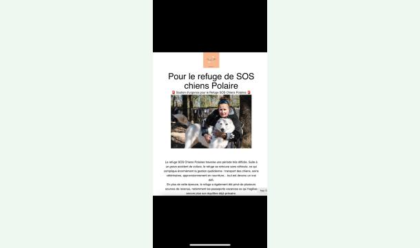 Cover Voiture sos chiens polaires