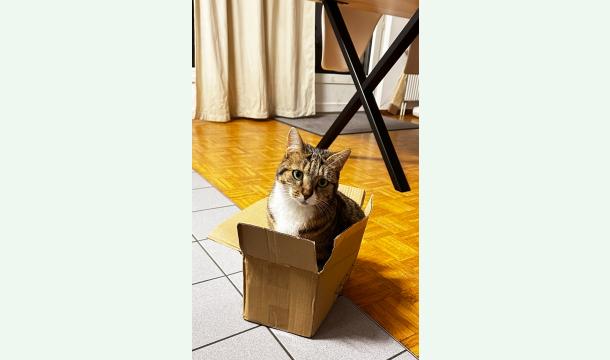 Cover Aide aux soins de Raya