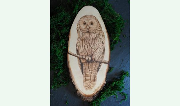 Cover Meine Ausbildung zur Tierkommunikatorin - Mit eurer Hilfe und meiner Kunst