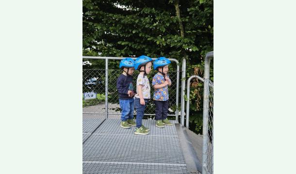 Cover Alleinerziehende Drillingsmutter