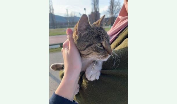 Cover Help a Queer Person Escape Their Abusive Family 