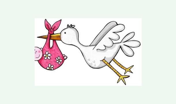Cover Cadeau de Naissance - Fille de Thomas