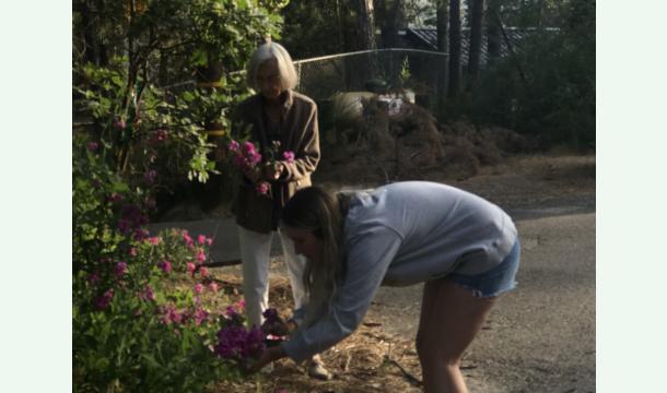 Cover Almost a Century Celebration