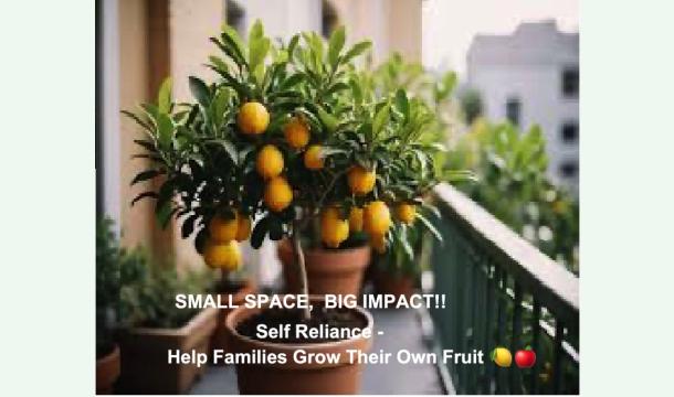 Cover Patio Produce Project  “Fresh food within reach.”