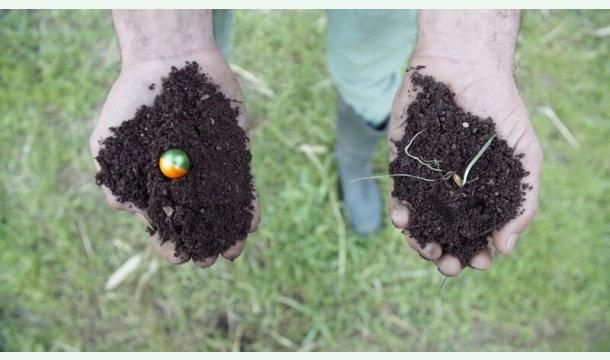Cover Drone Planting