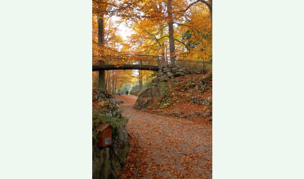 Cover Soutenance de thèse de Gladys