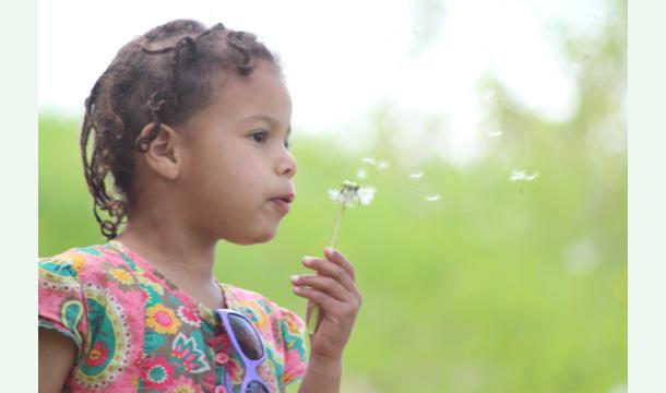 Cover 🌱 Changing the World Begins Here