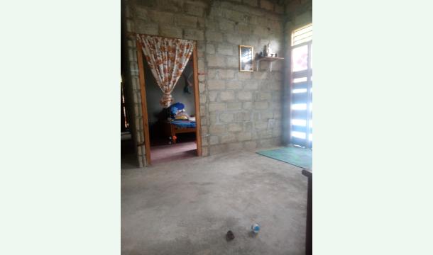 Cover Build my house 