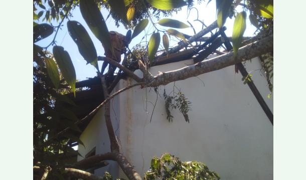 Cover To create a house