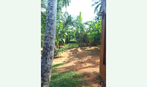 Cover   Help us build a small home on our land  