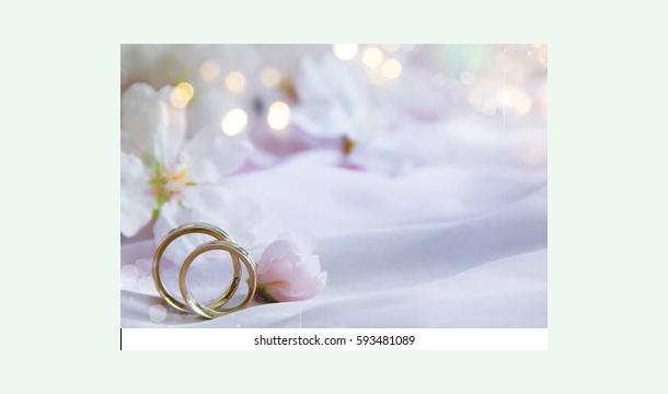 Cover Ava`s Wedding Gift