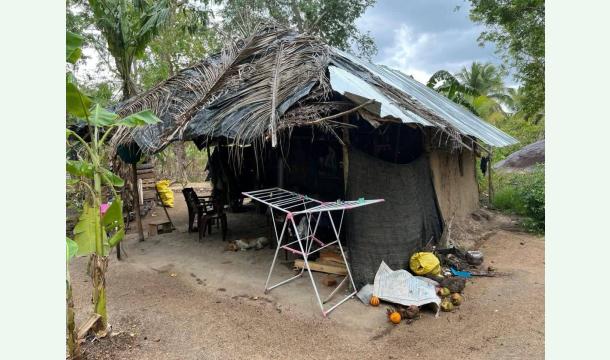 Cover Build my house 