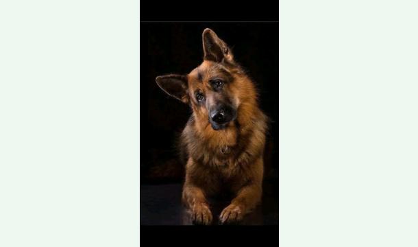 Cover help for medicine fund 