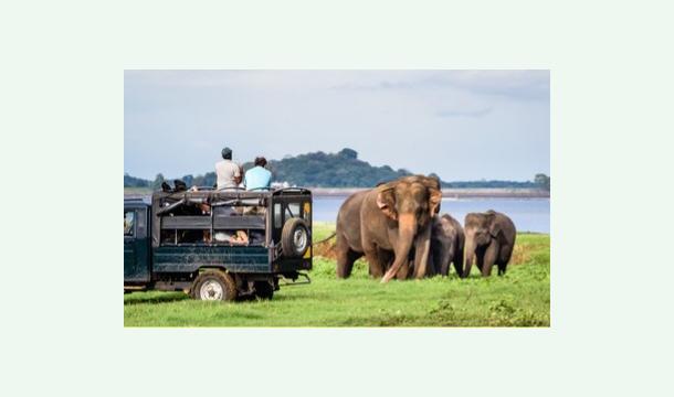 Cover Happy Pot Brings Warm Smiles 🍵”