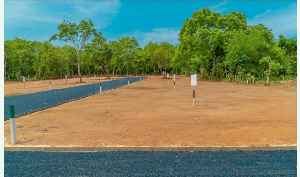 Cover Assistance in purchasing land to build a house